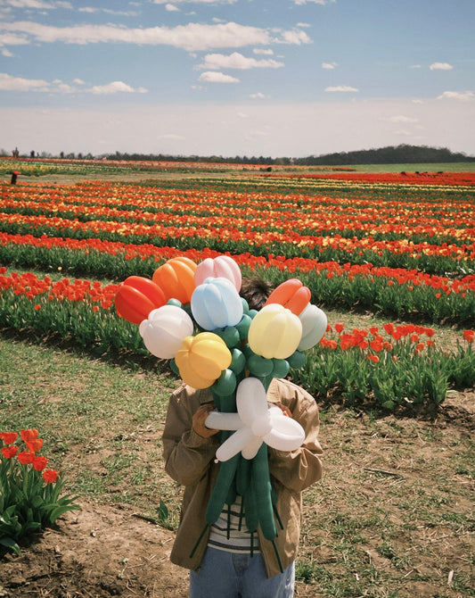 Solid Tulip