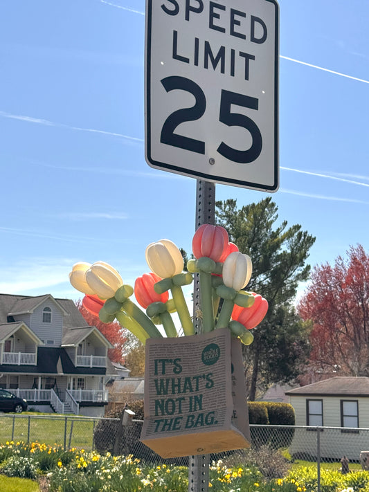Pastel Tulip